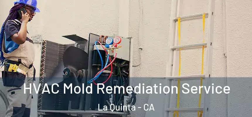  HVAC Mold Remediation Service La Quinta - CA