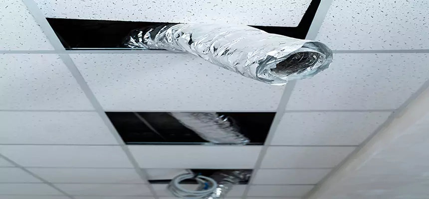 Affordable HVAC Sanitizing After Pest Removal in La Quinta