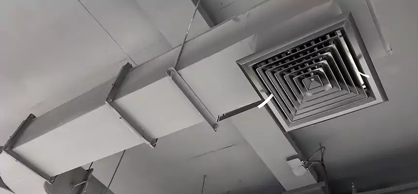 Restorative Allergy Relief Vent Cleaning – Coil, Blower & Housing Detail in La Quinta