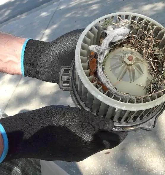 About Air Duct Mice Removal in La Quinta, CA