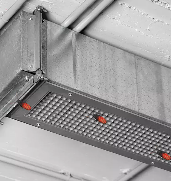 Affordable Insect Removal from Air Ducts in La Quinta, CA
