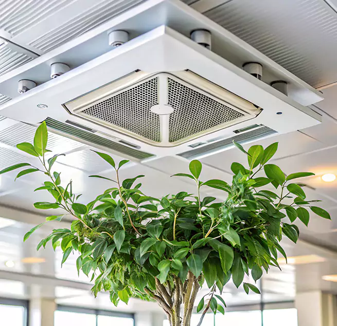 Why Homeowners & Businesses Trust Us in La Quinta, CA?